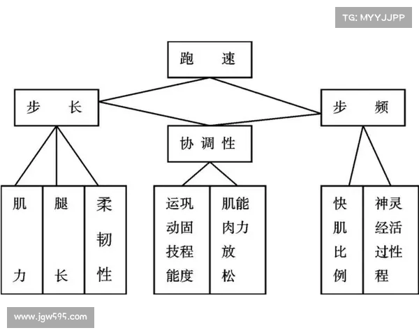 基于体能分配优化的运动训练策略与实施路径研究 基于体能分配优化的运动训练策略与实施路径研究