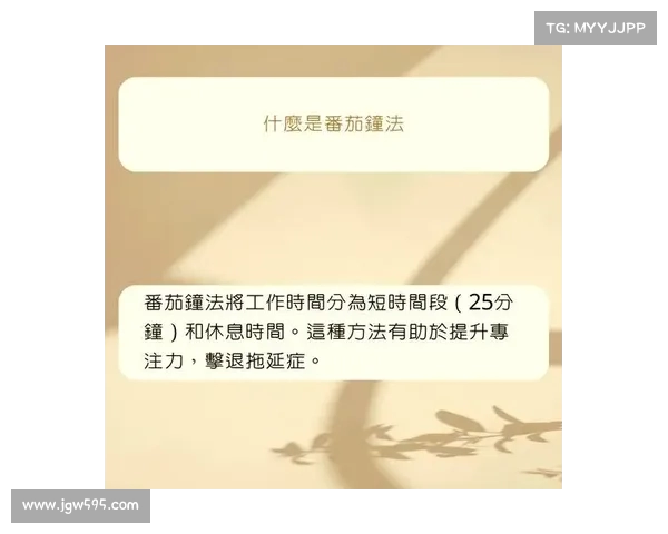 高效整理装备的技巧与方法，提升你的生活与工作效率