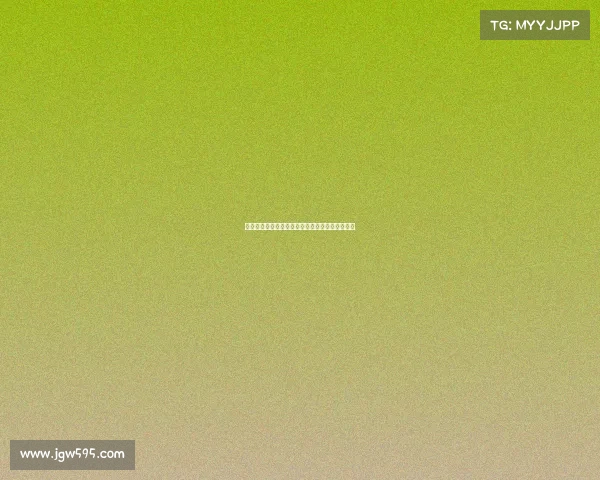 法甲女足新赛季战况分析与顶级球员表现全面解读